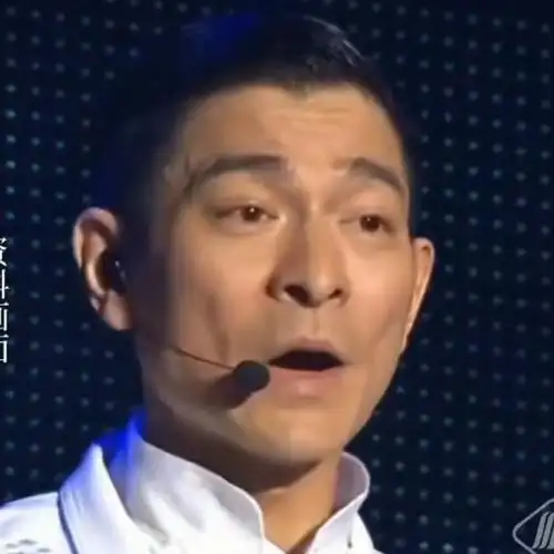 刘德华再次举办个人演唱会