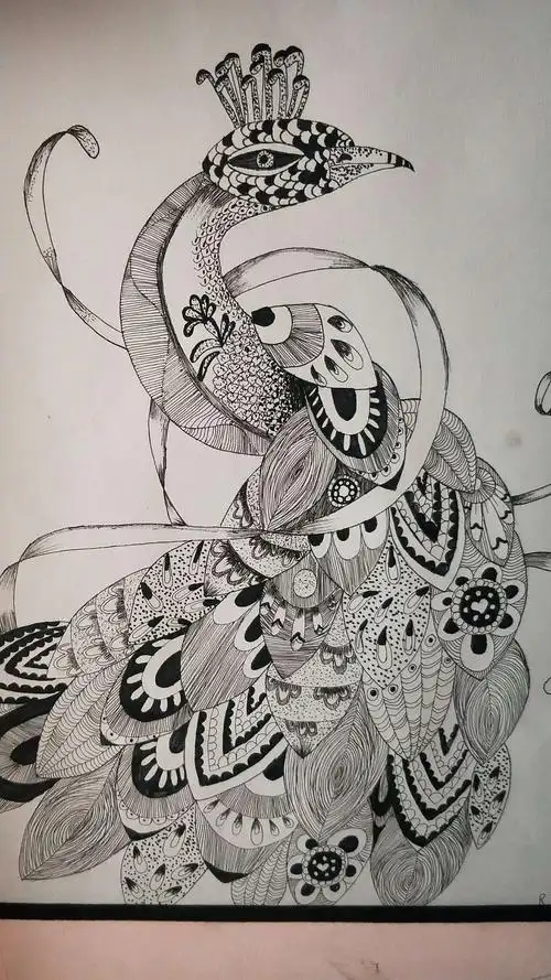 黑白线描画孔雀4k