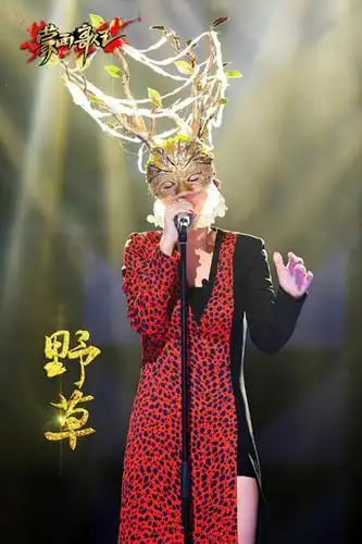 蒙面唱将猜猜猜