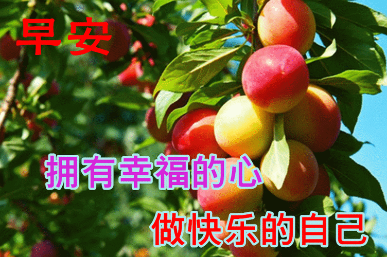 原创2021创意唯美秋日早安问候动态水果图片带字温馨创意好看的早上好