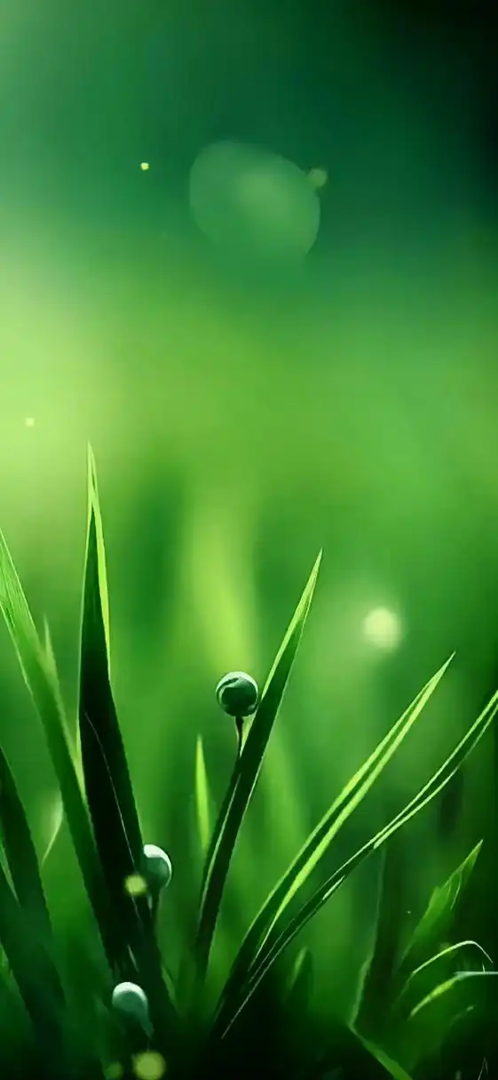 绿色护眼壁纸|潮流壁纸 |视觉分享