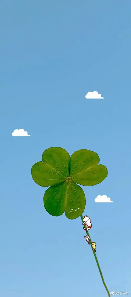 健康,幸福,好运四叶草～92#植物的日常#(最后两张是加长壁纸)