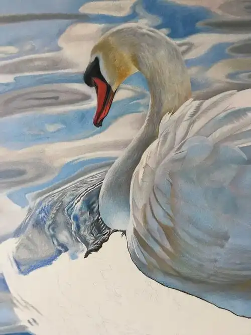 彩铅动物系列之-白天鹅,霹雳马绿辉偏写实风格