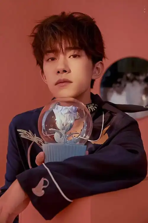 易烊千玺tfboys野兽派代言人高清帅气