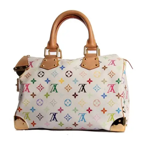 louis vuitton(路易威登)女士白三彩手提包