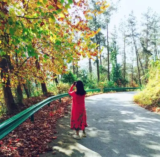 我与秋天有个约会