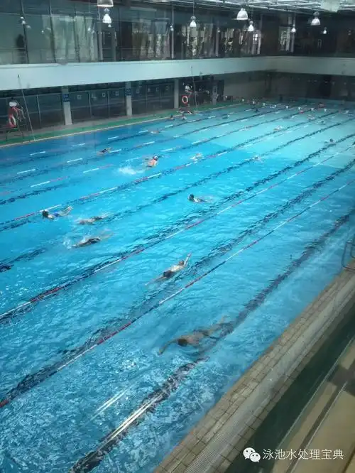 游泳池水质管理操作规程