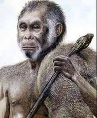 p>猿人被认为是 a href="#" data-lemmaid="31910">人类 /a>的直接 a