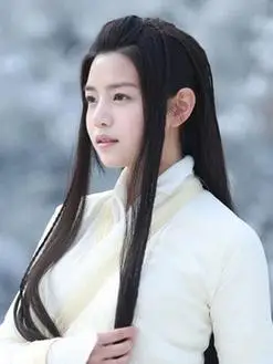 神雕侠侣演员表