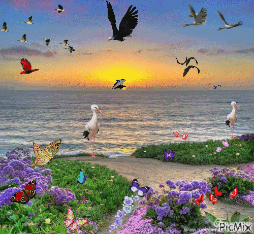 500_461gif 动态图 动图