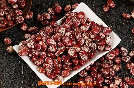 云南肾豆的功效与作用