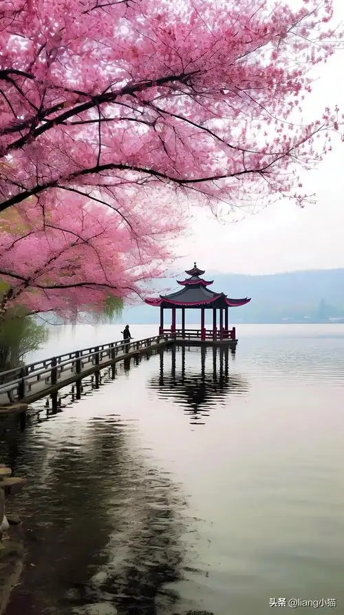 西湖美景,太漂亮了