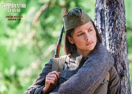 这里的黎明静悄悄剧照