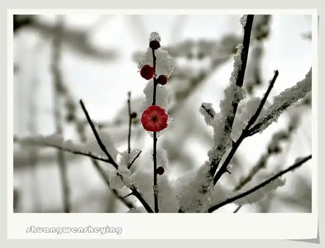 原图欣赏-太平洋摄影部落