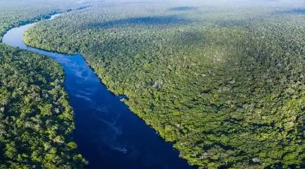 最神秘,最多样的热带雨林,它占据了南美洲亚马逊河流域的大部分地区