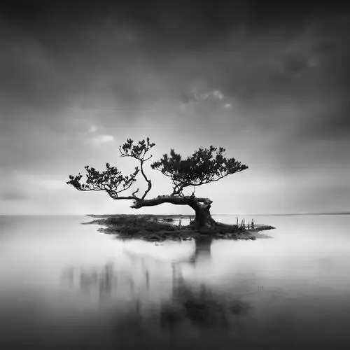 umam:黑白风光摄影以简洁和唯美著称
