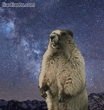 土拔鼠咆哮星空版 - 做表情 - 在线装逼,照片装饰,表情包制作