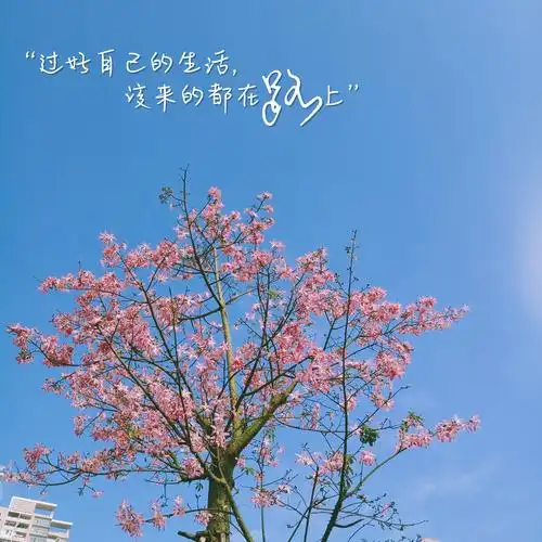 十句话让你每天好心情