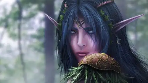 魔兽世界五十张珍贵图片