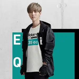 阿迪达斯三叶草男装2018秋季鹿晗同款休闲防风开衫连帽外套dt0940