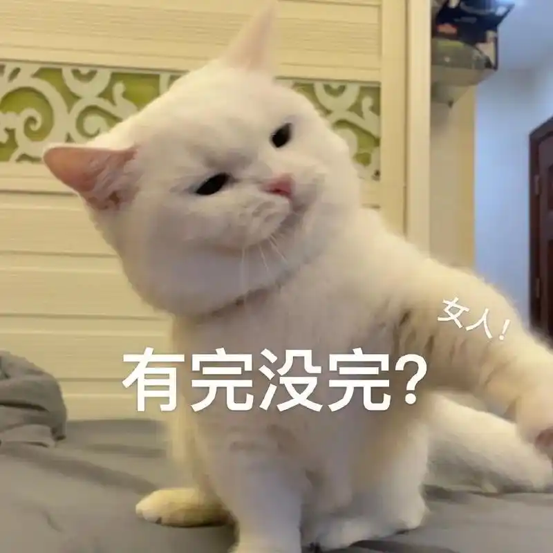 萌宠猫有完没完生气呆萌可爱gif动图_动态图_表情包下载_soogif