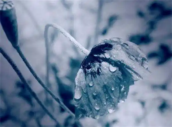 表达自己不开心的图片,2020最伤感图片一个人独自难过