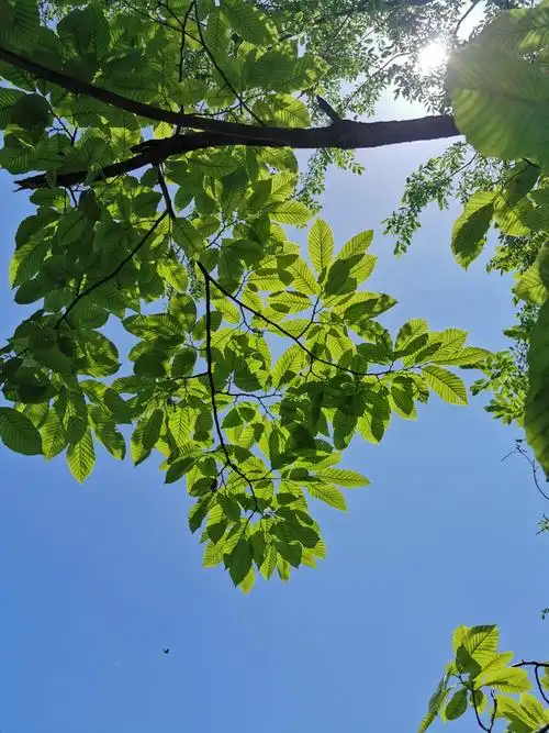 夏天马上就要到了啊 - 堆糖,美图壁纸兴趣社区