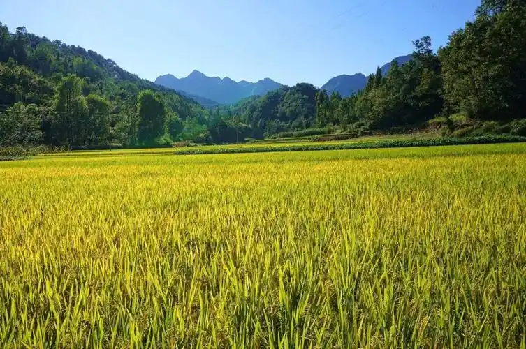 邵东印象10团山镇太平世界里的红色记忆