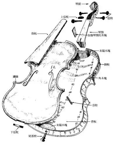 小提琴自学教程 第一课 认识小提琴 请记住小提琴各部分的名称