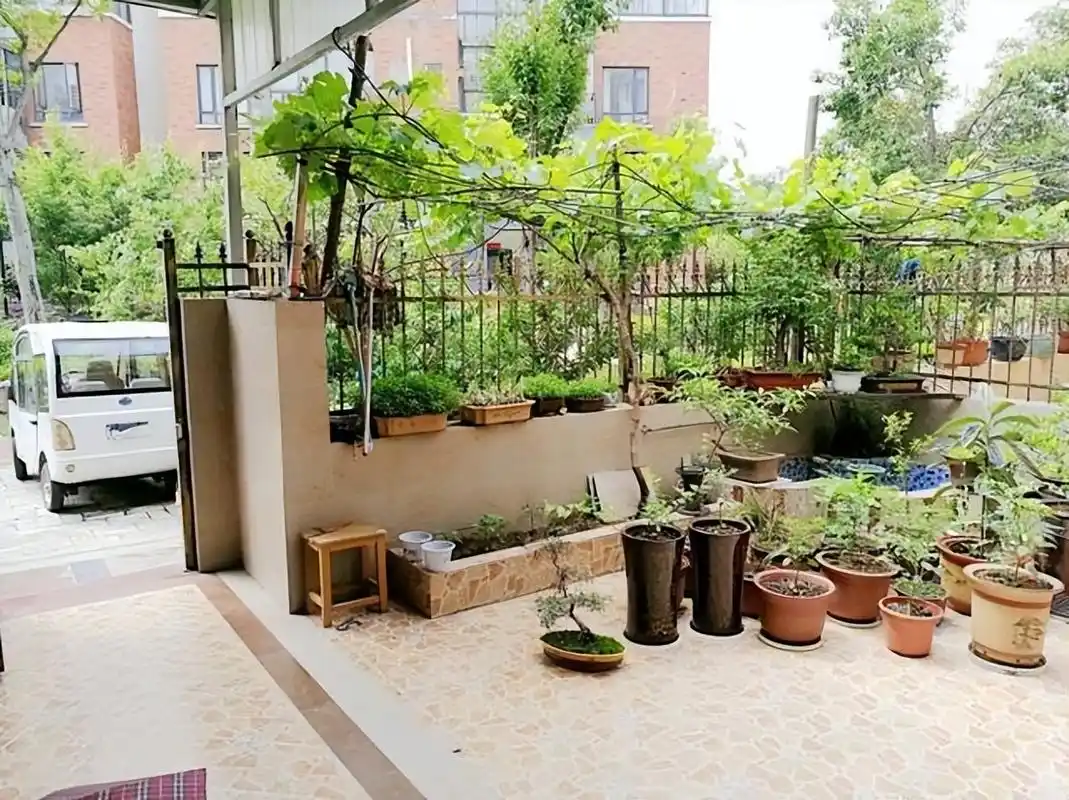 一楼带院子的房子,入住半年多,发现一些弊端,尤其是这4个方面