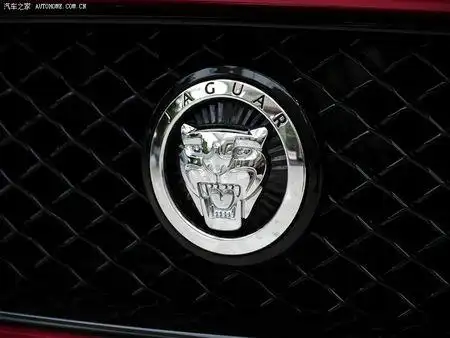 豹子头标志是什么牌子