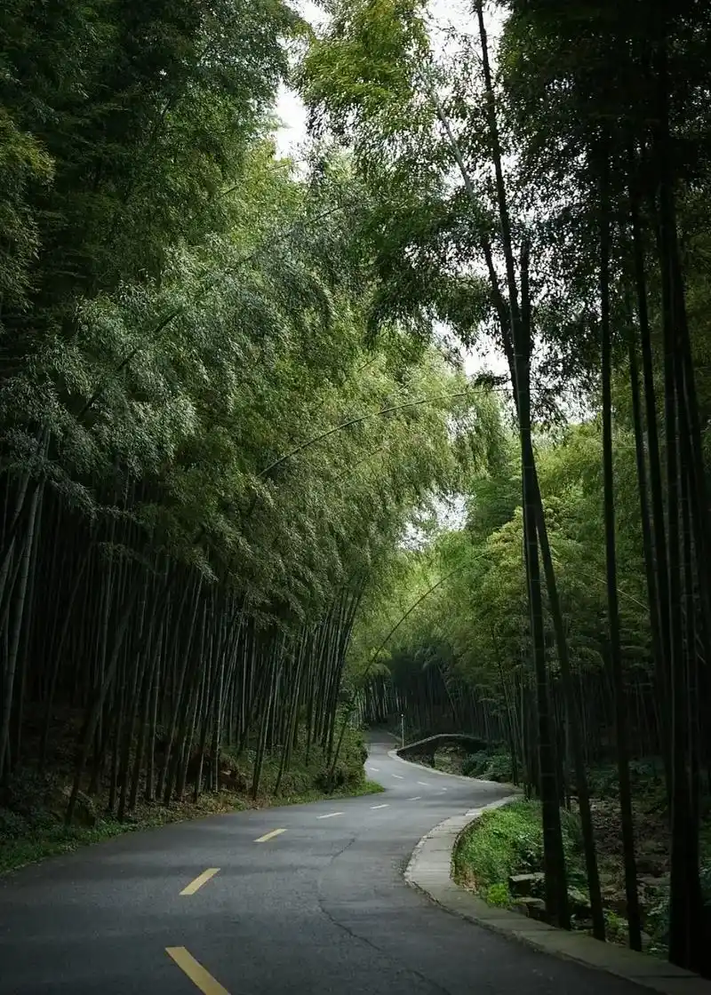 宜兴风景宜人但我们时间有限只去了竹海等地