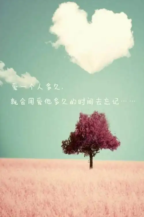 爱一个人多久,就会用爱他多久的时间去忘记