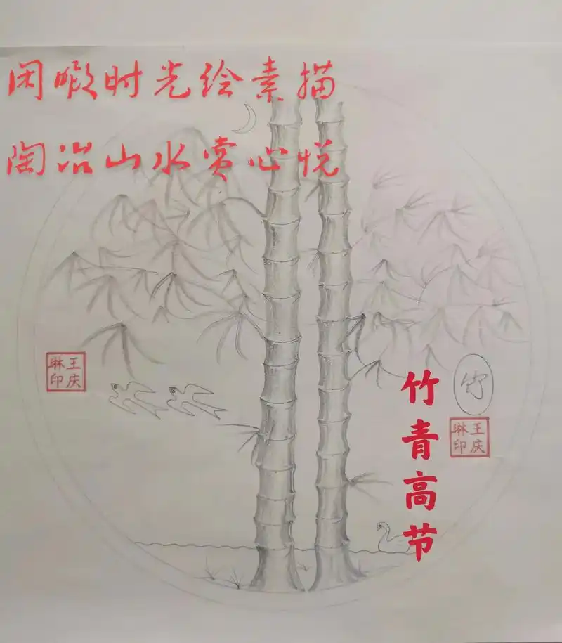 闲暇时光(素描 陶冶山水赏心悦 琳王 南岛风光 印庆 兰花 - 抖音