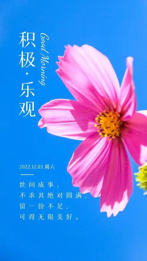 朋友圈抖音正能量早安心语图片:哪有什么奇迹,不过都是拼尽全力