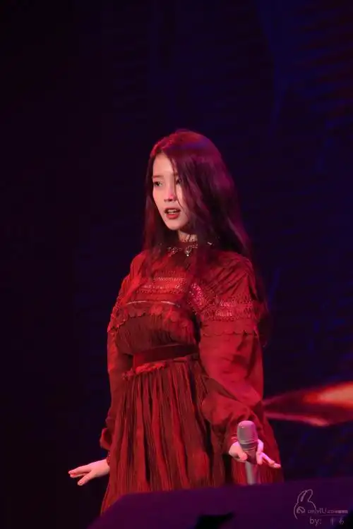 iu 233339 李知恩 333131 国民妹妹 舞台上的国民歌手