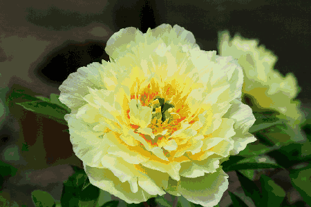 唯有牡丹真国色, 花开时节动京城.