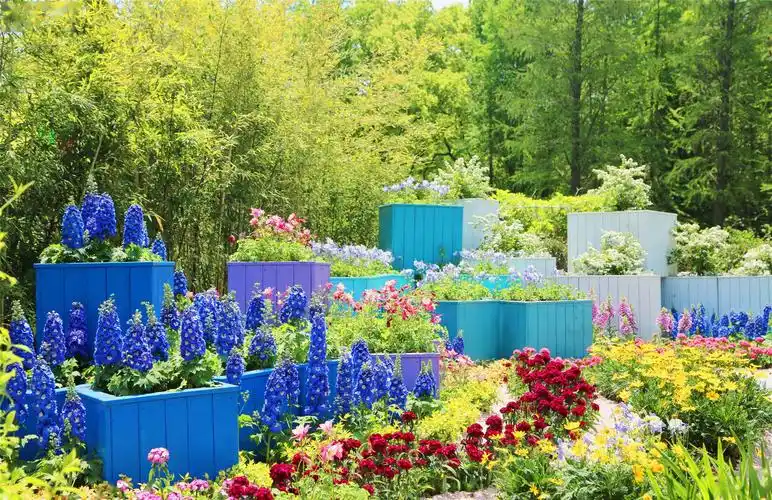 送雨迎晴芳草满庭2020上海国际花展明日启幕观展需预约查随申码