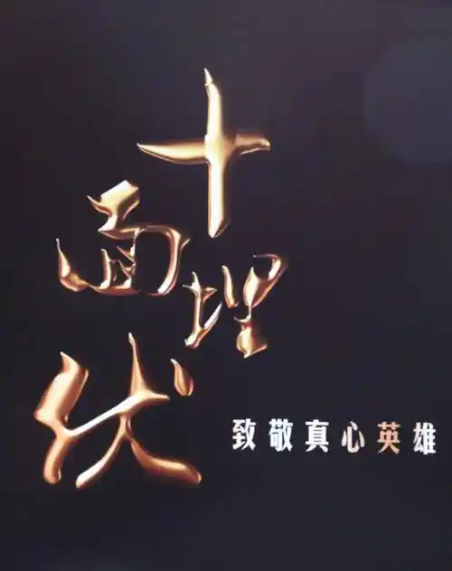 十面埋伏致敬真心英雄