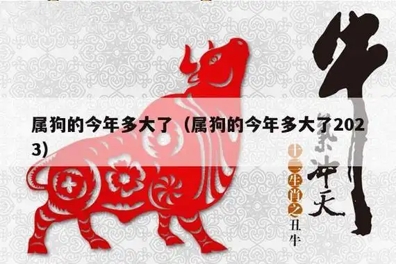 属狗的今年多大了(属狗的今年多大了2023)_十二生肖网