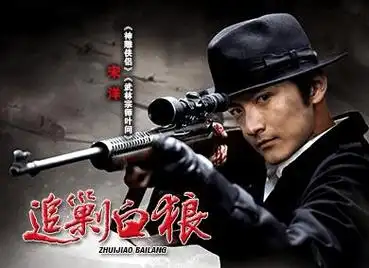 二十四集 电视剧 追剿白狼 大型谍战 抗日