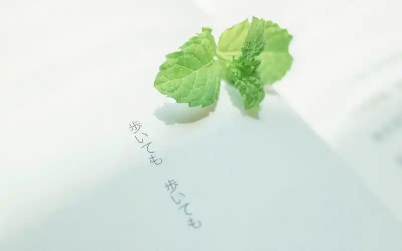 日系小清新养眼植物高清桌面壁纸