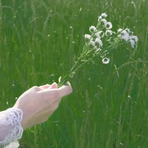 女生头像简约小清新赞评论更多