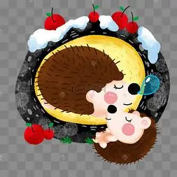 冬天冬眠刺猬