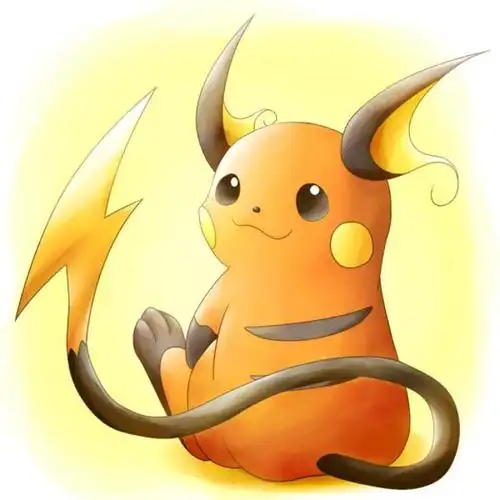 雷丘口袋妖怪宝可梦