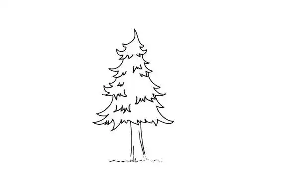 松树简笔画画法步骤图片