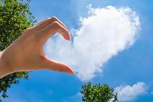 天空日落设备客机太阳景观旅游大海飞机机翼海滩设备空气翼砂运输水