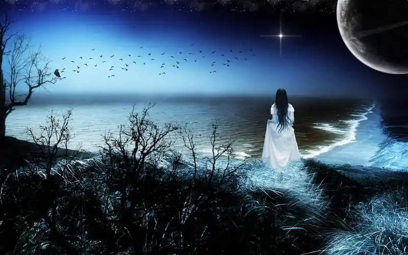 绝望的壁纸1280x1024分辨率查看