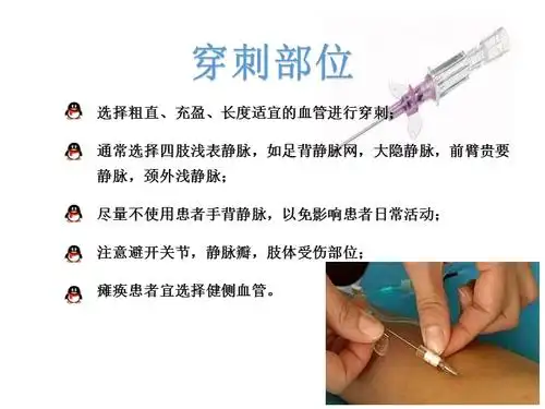 参考课件留置针穿刺注意事项ppt