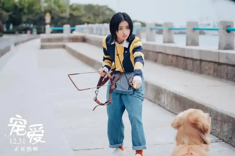 张子枫,宠爱组图